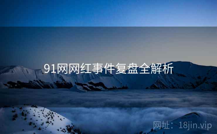 91网网红事件复盘全解析