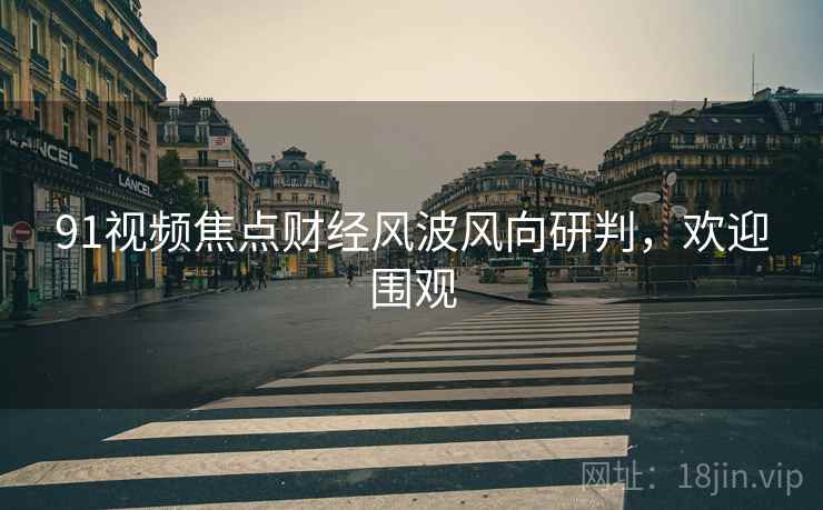 91视频焦点财经风波风向研判，欢迎围观