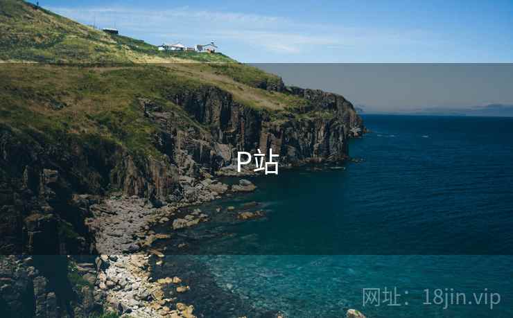 P站