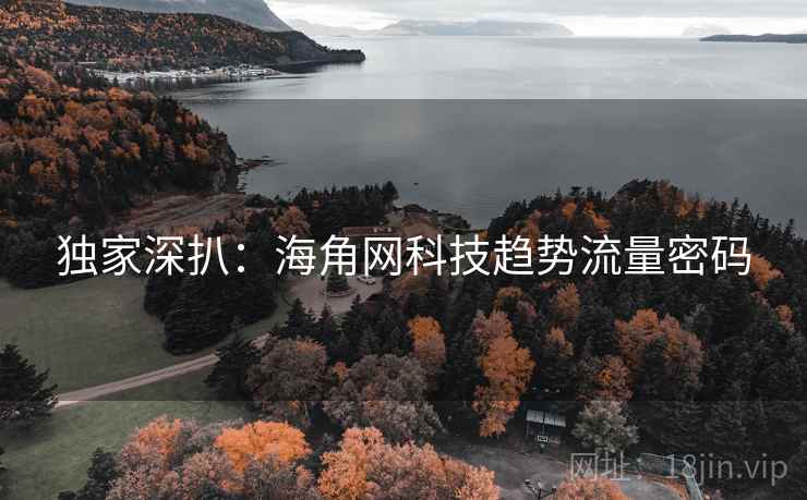 独家深扒：海角网科技趋势流量密码