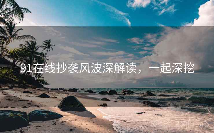 91在线抄袭风波深解读，一起深挖