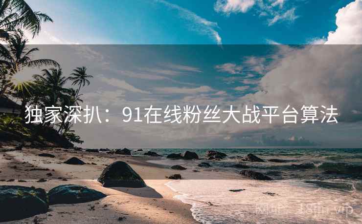 独家深扒：91在线粉丝大战平台算法