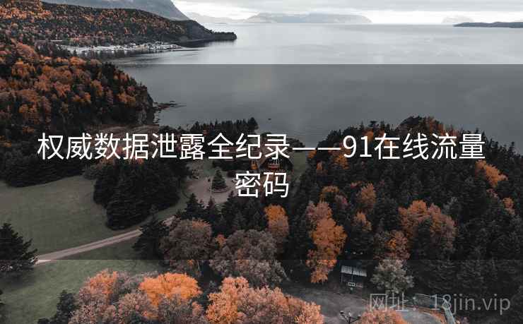 权威数据泄露全纪录——91在线流量密码