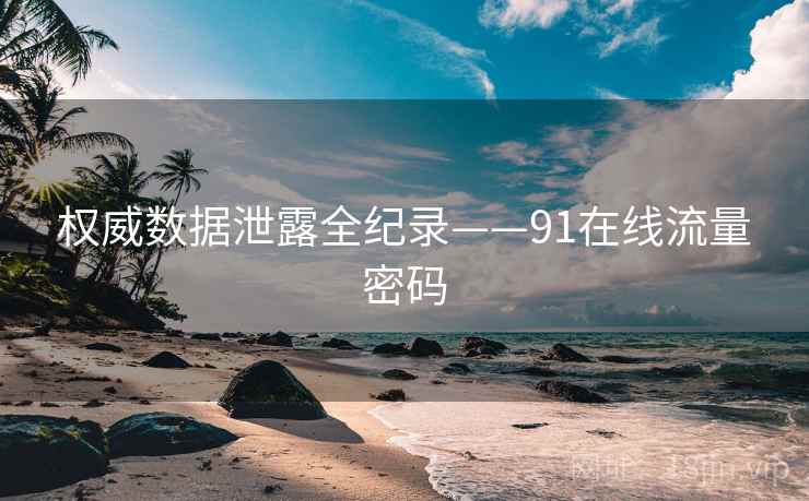 权威数据泄露全纪录——91在线流量密码