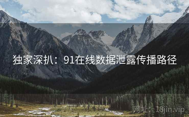 独家深扒：91在线数据泄露传播路径