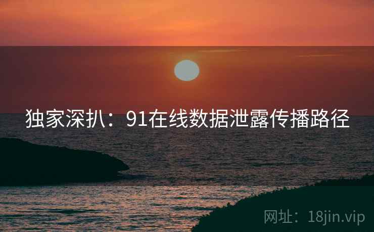 独家深扒：91在线数据泄露传播路径