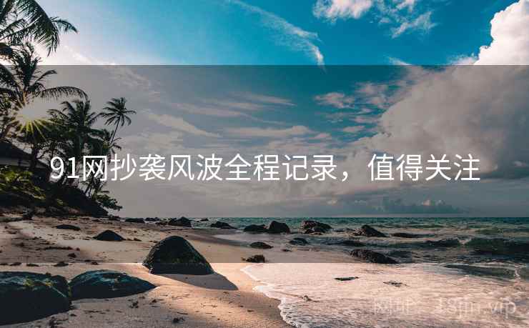 91网抄袭风波全程记录，值得关注