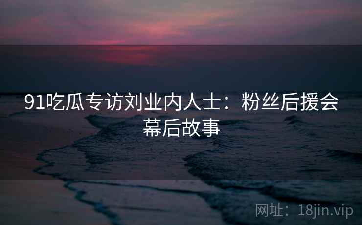 91吃瓜专访刘业内人士：粉丝后援会幕后故事