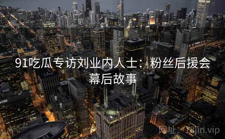 91吃瓜专访刘业内人士：粉丝后援会幕后故事