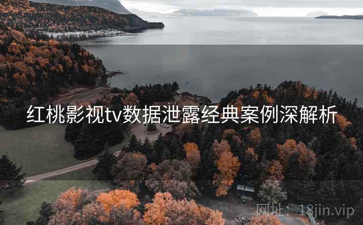 红桃影视tv数据泄露经典案例深解析