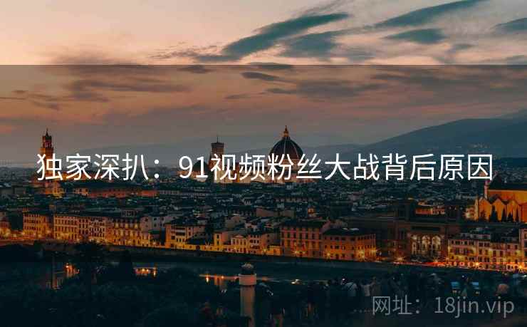 独家深扒：91视频粉丝大战背后原因