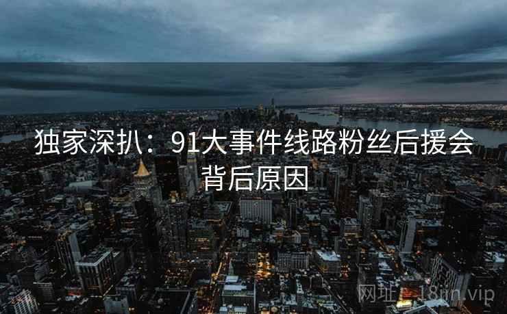 独家深扒：91大事件线路粉丝后援会背后原因