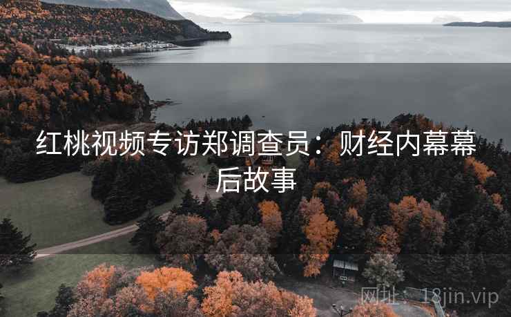 红桃视频专访郑调查员：财经内幕幕后故事