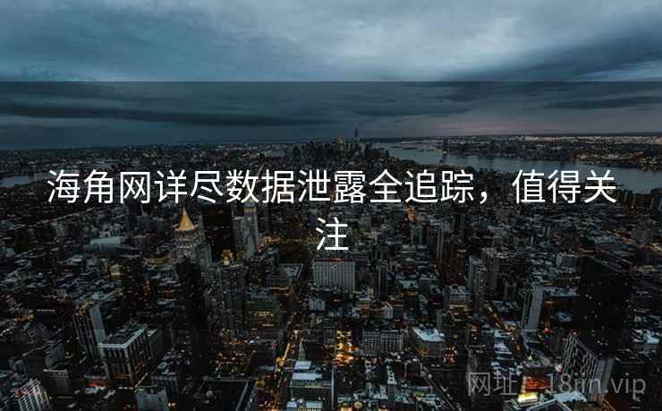 海角网详尽数据泄露全追踪，值得关注