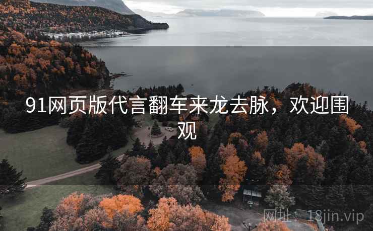 91网页版代言翻车来龙去脉，欢迎围观