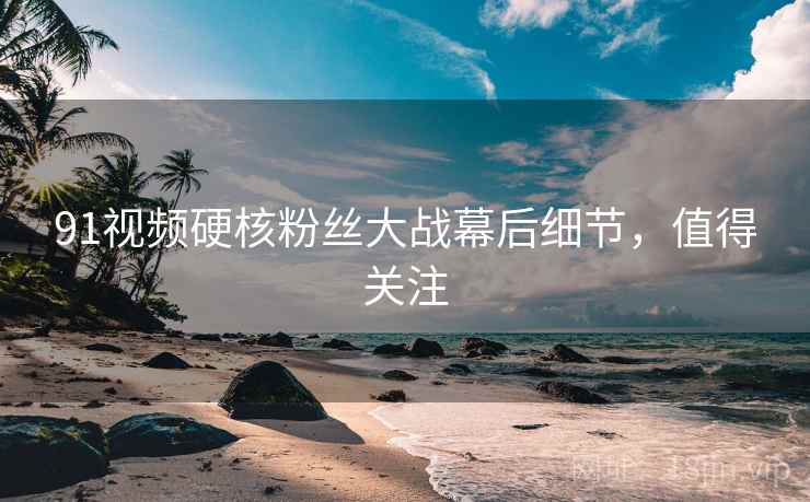 91视频硬核粉丝大战幕后细节，值得关注